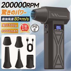 金属探知機 ハンドヘルド型 銅/金/銀/宝石用 簡単操作 コンパス付き