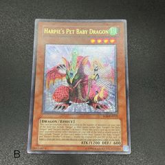 遊戯王 ハーピィズペット竜 フランス語版 シークレット シク RP02 初版