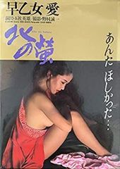 早乙女愛 北の蛍／スプレイ 初版第一刷 - メルカリ