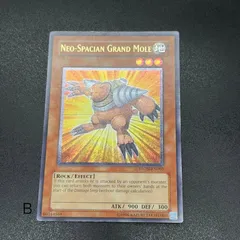 北米版 スキルドレイン レリーフ 深掘り個体 遊戯王 海外 英語 米 2026年最新】遊戯王 北米版 レリーフの人気アイテム - メルカリ