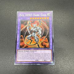 泰亜版 アジア英語版 E-HERO ダークガイア シークレット シク AES 