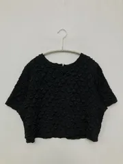 JEANASIS ジーナシス Tシャツ/カットソー F ブラック 無地 ショート丈 半袖 クルーネック(丸首)