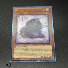 遊戯王】終わりの始まり 北米 アンリミ レリーフ PTDN-EN053 英語 