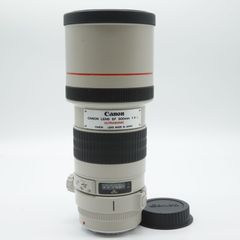 シャッター回数3800回】□ほぼ新品□ SONY(ソニー) フルサイズミラー