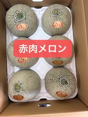 週末サービス品 九州産アールスメロン 5L2玉 - メルカリ