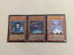 地縛神 Ccapac Apu レリーフ ARS鑑定10 遊戯王 鑑定書付き - メルカリ