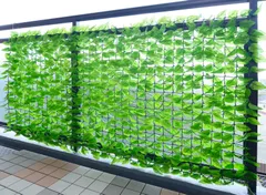 【即日発送】目隠 ハードネットタイプ 装飾 フェイク ベランダ 約100×200cm テラス グリーンフェンス グリーンカーテン リーフラティス 日差し 簡単設置 日よけ 山善(YAMAZEN) 日除け ライトグリーン LLH-12C(LG)のサムネイル