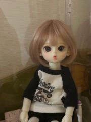 アイドルホース ジャックドール アフリカンゴールド リフレイム M