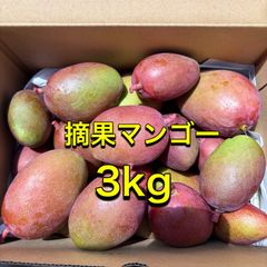 摘果マンゴー8キロ - メルカリ