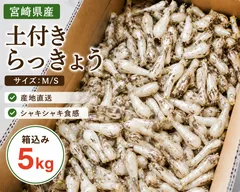 2026年最新】土付き らっきょうの人気アイテム - メルカリ