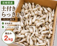 2026年最新】土付きらっきょうの人気アイテム - メルカリ