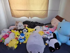 ポケットモンスター ピカチュウ 外 大型 中型 ぬいぐるみ 出品