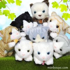 REAL ANIMALリアルアニマル 猫つまんでぬいぐるみ4体セット シャムミケ