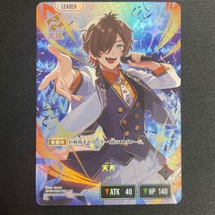 〔PSA10鑑定済〕メガエンブオーex(SAR仕様)【-】{762/742} PSA10鑑定済〕メガエンブオーex(SAR仕様)【-】{762/742}