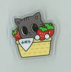 TXT 2025 ACT:PROMISE WORLD TOUR EP. 2 IN JAPAN TAEHYUN LOCAL PPULBATU ACRYLIC BADGE 福岡