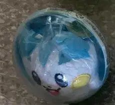 ポケモンラン 日本初開催 沖縄 有料オプション 記念メダル ガーディ