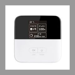 新品未使用 ZTE Pocket WiFi 802ZT シルバー - メルカリ