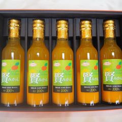 飲むみかんジュース 10本セット - メルカリ