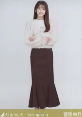 乃木坂46 2023年3月ランダム生写真 菅原咲月 2023.March-Ⅱ ファーニット ヨリ