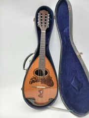 め13○ Suwaneena マンドリン 本体 エレクトリック - メルカリ