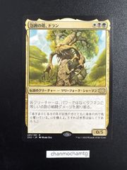 m15342 EN 【Foil】(305)□ボーダーレス□《量子の謎かけ屋/Quantum