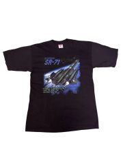 Disneyland SOARIN