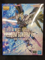 BANDAISPIRITS MG/GUNDAM NEXT FUTURE 한정 1/100 기동전사 건담 SEED 프리덤 건담 Ver.2.0(리얼 타입 칼라 Ver.) LIMITED
