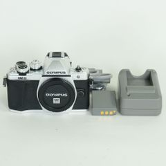 美品 | シャッター数139,160回] SONY α7R IV（ILCE-7RM4） | SONY E