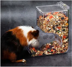 ハムスター自動給餌器ハムスター餌やりハムスターけーじ掛ける小動物用自動給餌餌入れ留守番対策エサ入れ自動鳥小鳥給餌器透明おのサムネイル