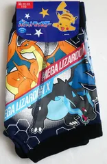 (新品) タカラトミーアーツ ポケットモンスター ポケモン サイズ110 ブリーフ 2枚セット - Pokemon Briefs 2-Pack Mega Lizardon / Mega Lizardon Xのサムネイル