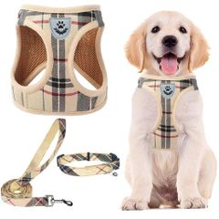 Carhartt カーハート 犬用首輪 正品 3M反射板 頑丈 - メルカリ