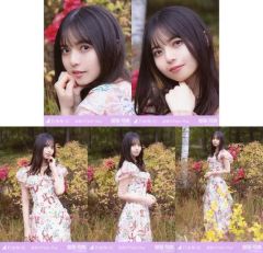 乃木坂46 生田絵梨花 生写真 最後のTight Hug 5種コンプ - メルカリ