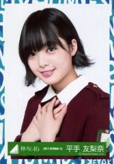 す*め様 欅坂46 平手友梨奈 生写真コンプ - メルカリ