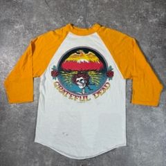 80s Rainbow Difficult To Cure ラグランTシャツ - メルカリ