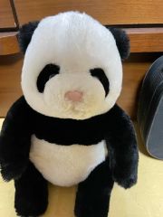 上野動物園 シャオシャオ 3歳記念ぬいぐるみ 双子 パンダ 生誕記念