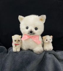 専用 ☆ハンドメイド☆ ふわふわ ペキニーズ ぬいぐるみ ホワイト 中