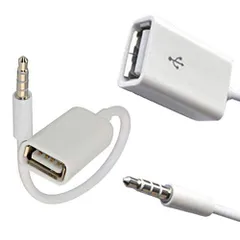 CEAoki AUX端子からUSB 3.5mmオスAUXオーディオジャックプラグからUSB 2.0メスへの変換ケーブル、コンバーターケーブルのみ カーAUXポート カーアクセサリ 10CM