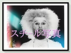 m*v様 フランクステラ ポスター HIBELL ART フランク・ステラ 19