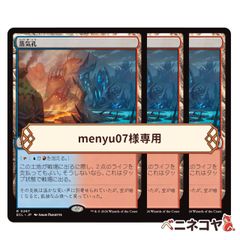 ECL】血の墓所≪リバーシブル・ボーダーレス≫[JP][土地] - メルカリ
