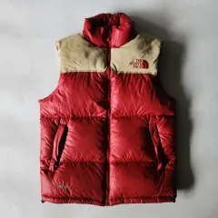 THE NORTH FACE ザノースフェイス ヌプシ700 限定モデル スウェード ダウン ベスト