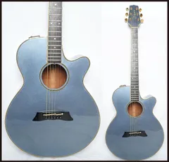 2026年最新】takamine pt-108の人気アイテム - メルカリ