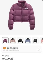 THE NORTH FACE ザノースフェイス ヌプシ ショートダウン 海外モデル パイクパープル XS