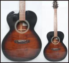 2026年最新】TAKAMINE TSA500の人気アイテム - メルカリ