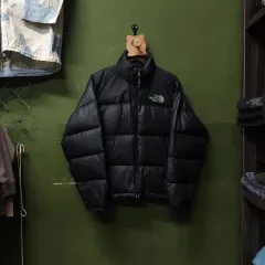 THE NORTH FACE 700 GOLDWIN Nuptse(ヌプシ) グース ダウン ジャケットのサムネイル
