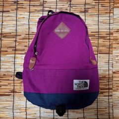 ザノースフェイスリュック 19L ピンク新品未使用レア貴重 - メルカリ