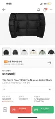 THE NORTH FACE 1996 エコー ヌプシ ジャケット Lのサムネイル