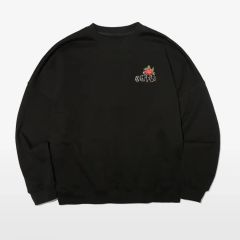 this is jsb フォトスウェット - メルカリ