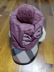 レディースジュニア DAKS 冬用帽子 (54 120)