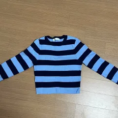 ザラ ストライプ クロップド ニット