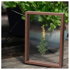 フォトフレーム 木製 A4判 両面 写真立て 縦置き 横置き 写真入れ 兼用 DIY 押し花 植物標本 写真フレーム 卓上展示 部屋飾り 記念日 引越し祝い 結婚祝い プレゼント